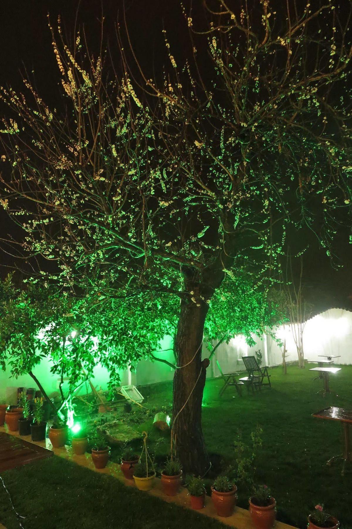 Готель Ephesus Paradise Сельчук Екстер'єр фото